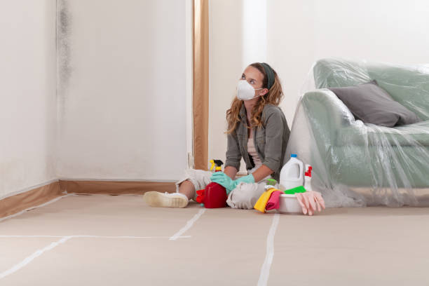 Reliable Mold Cleanup contractor in Rhodelia, KY by Cheap Mold Removal